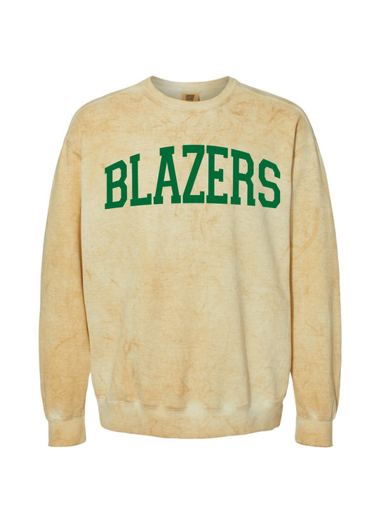 Blazers Foil | Adult Colorblast Pullover-Adult Pullover-Sister Shirts-Sister Shirts, Cute & Custom Tees for Mama & Littles in Trussville, Alabama.